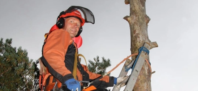 Bakks Trefelling - Skog og Hage - Bergen, Vestland