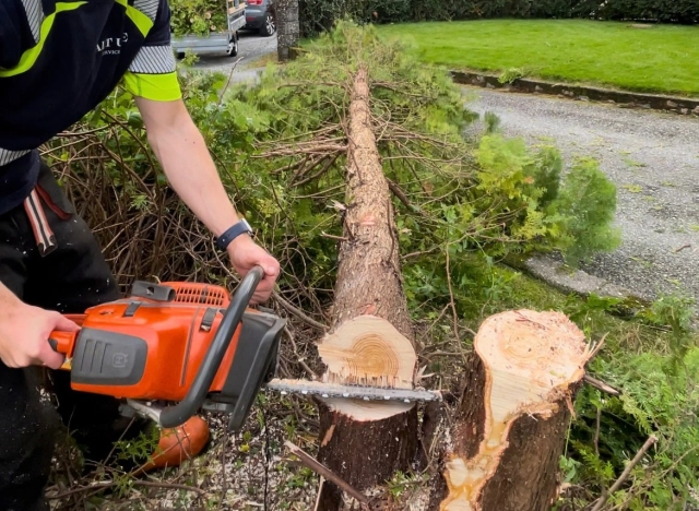 Alt Ute Service As - Skog og Hage - Bergen, Vestland